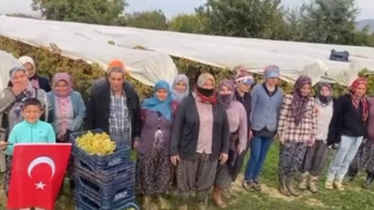 Üzüm bağlarında siren sesi yankılandı