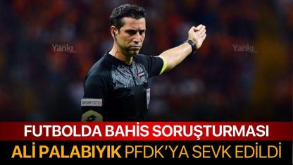 Ali Palabıyık PFDK'ya sevk edildi