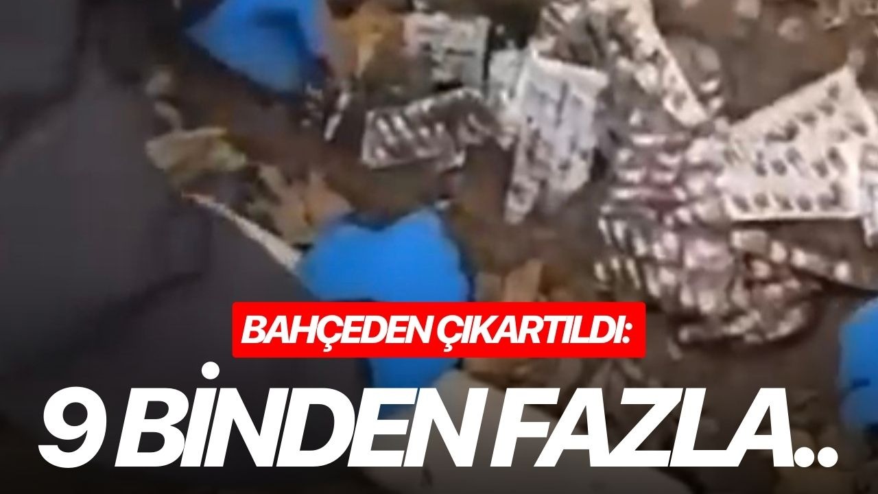 Bahçeden çıkartıldı: 9 binden fazla..