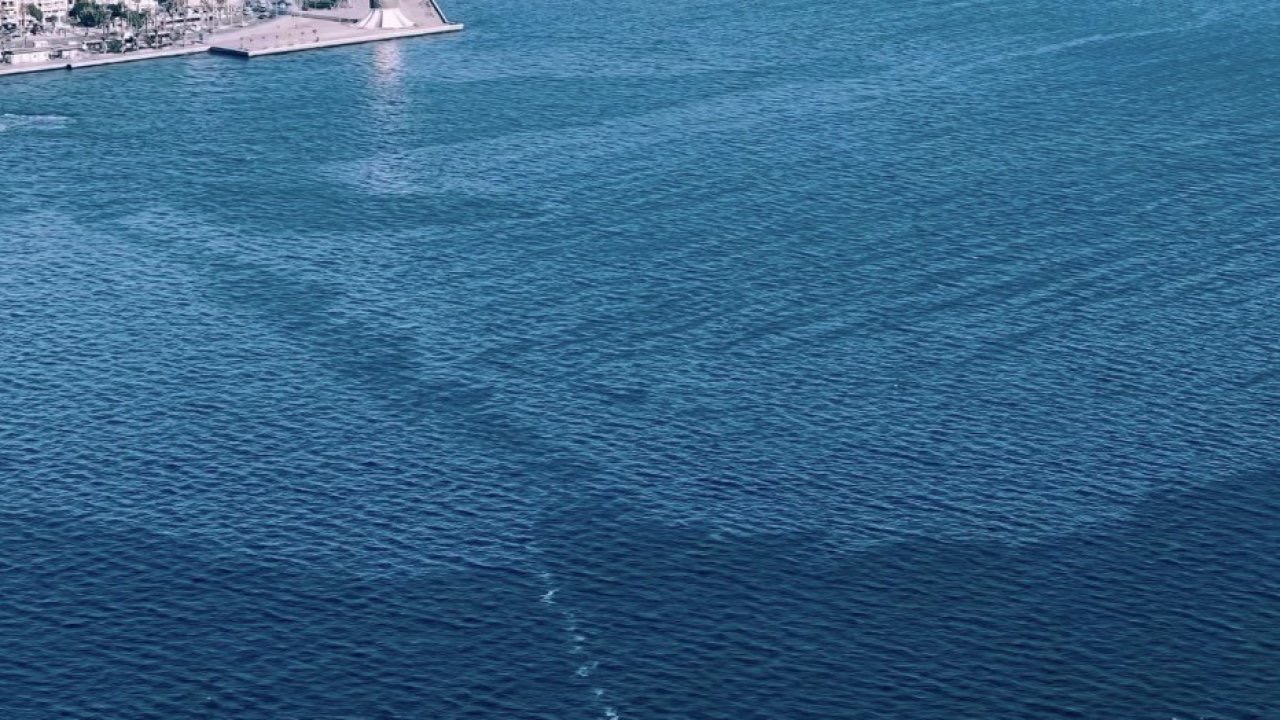 İzmir Körfezi’nde çevre kirliliği!