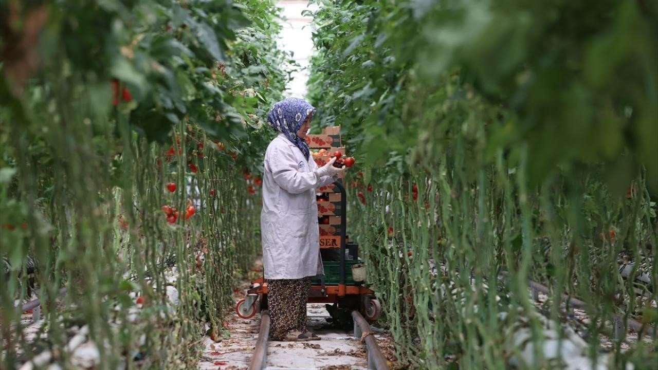 Jeotermal, 2025’te yatırım uykusundan uyandı