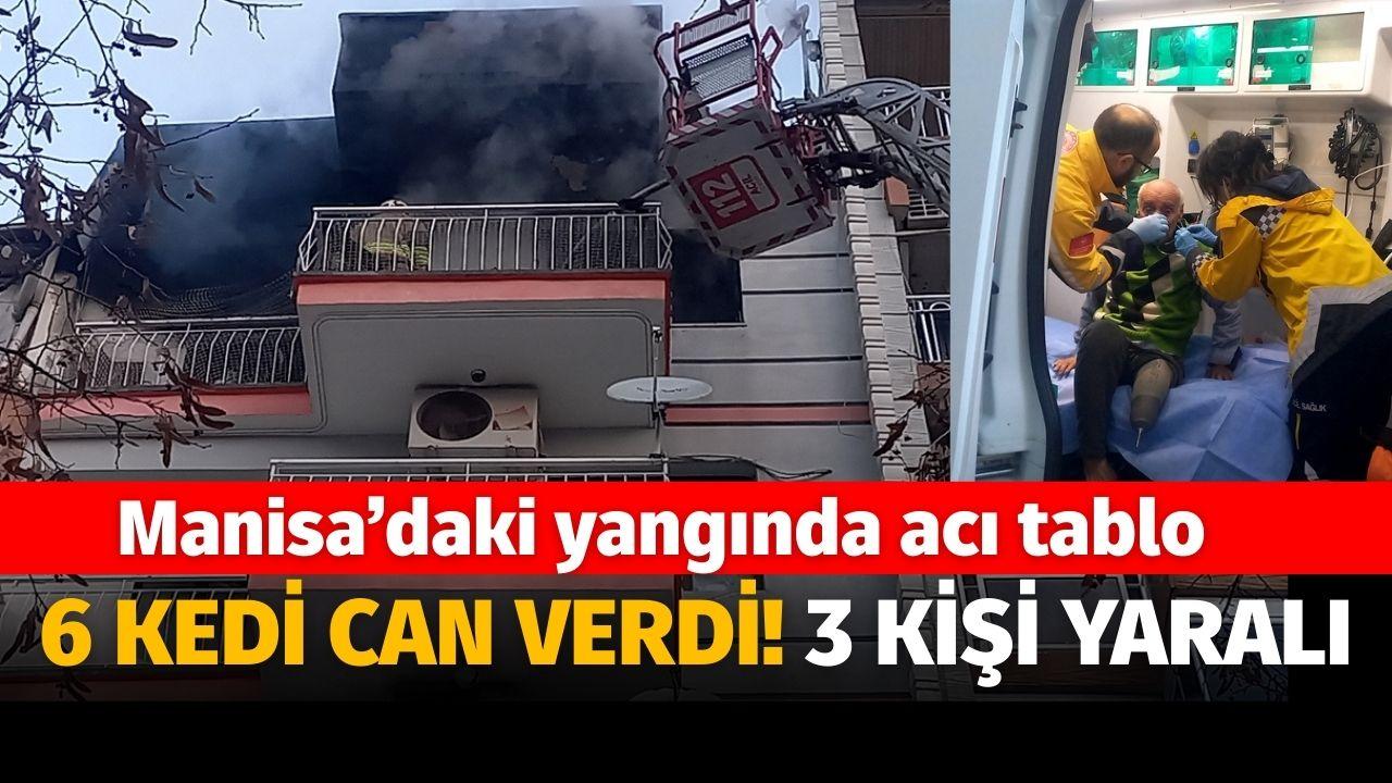 Manisa'daki yangında acı tablo: 6 kedi yanarak can verdi