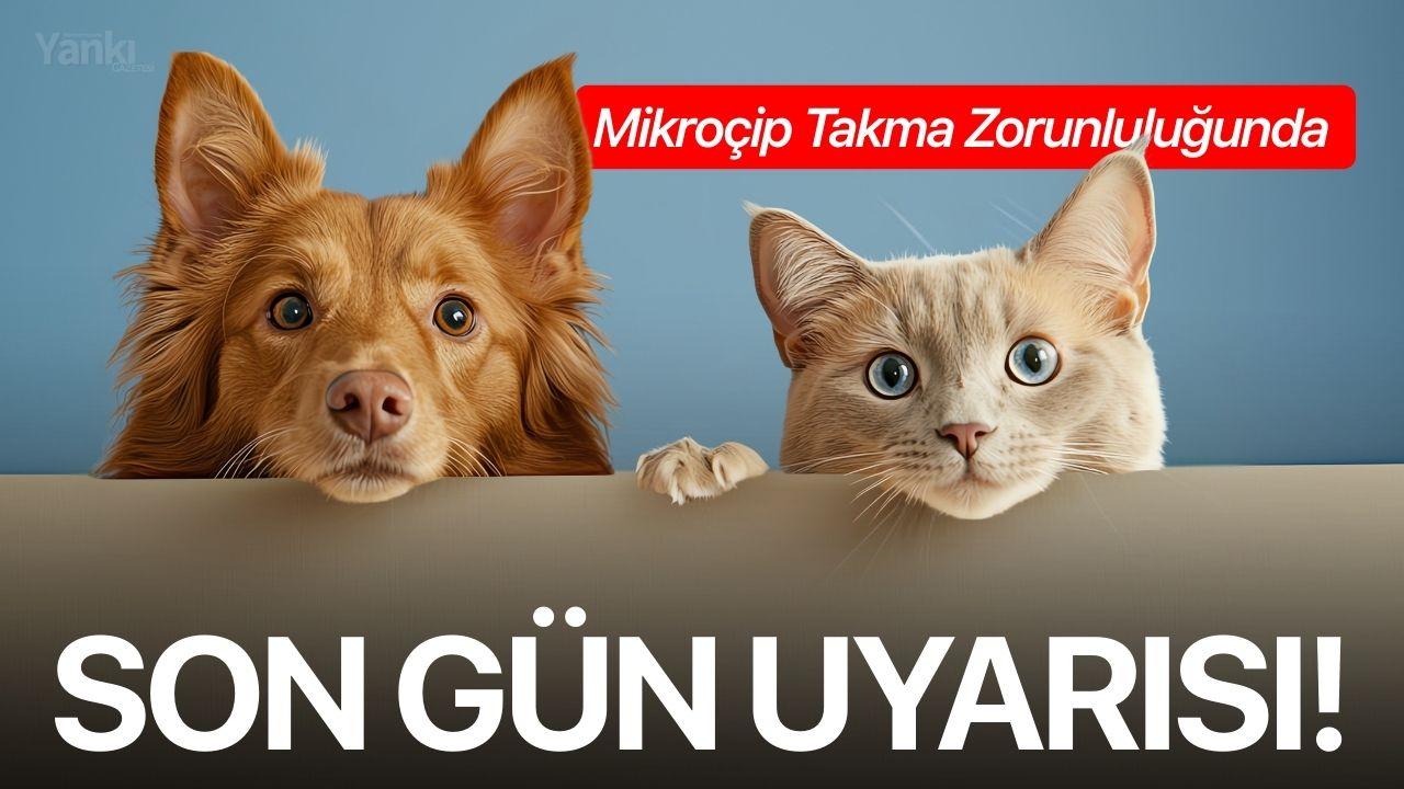 Mikroçip Takma Zorunluluğunda Son Gün Uyarısı!