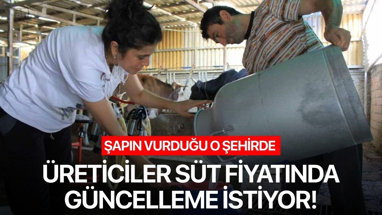 Şapın vurduğu o şehirde üreticiler süt fiyatında güncelleme istiyor!