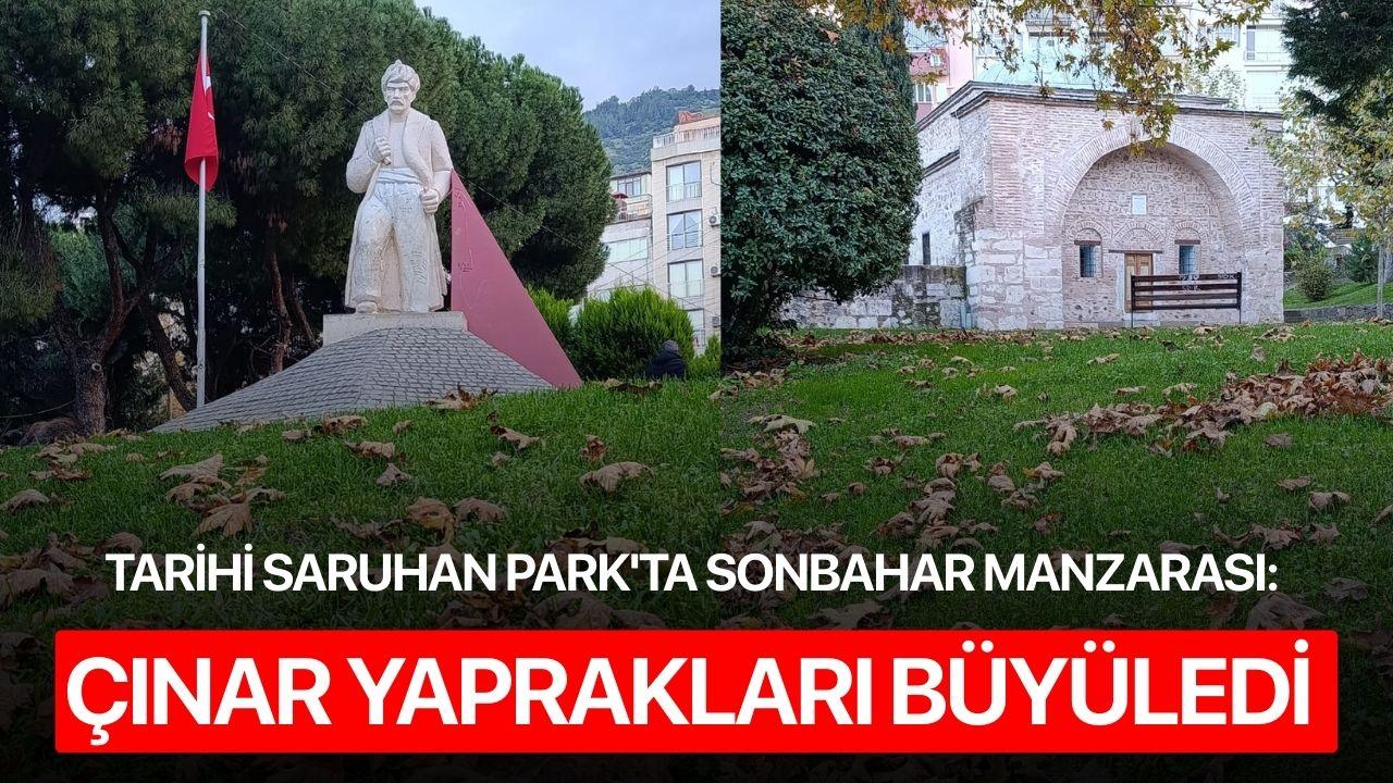 Tarihi Saruhan Park'ta Sonbahar Manzarası: Çınar Yaprakları Büyüledi