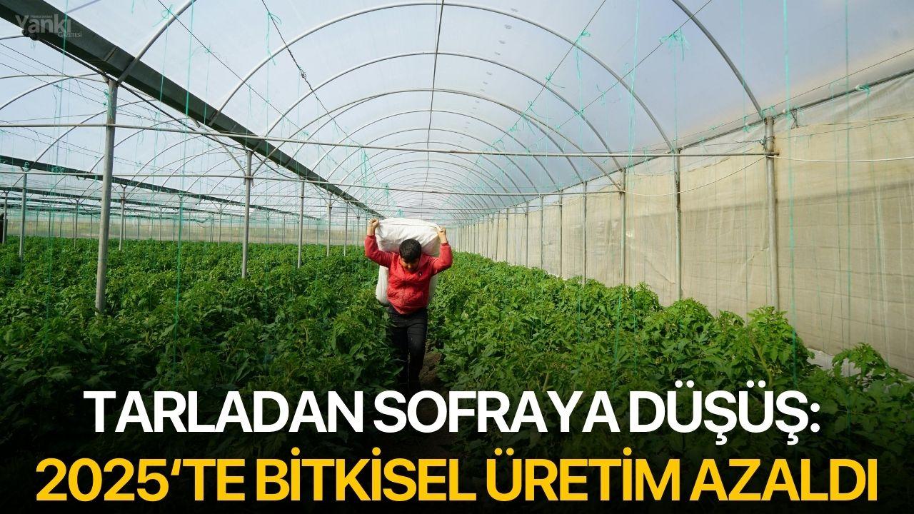Tarladan sofraya düşüş: 2025‘te Bitkisel üretim azaldı