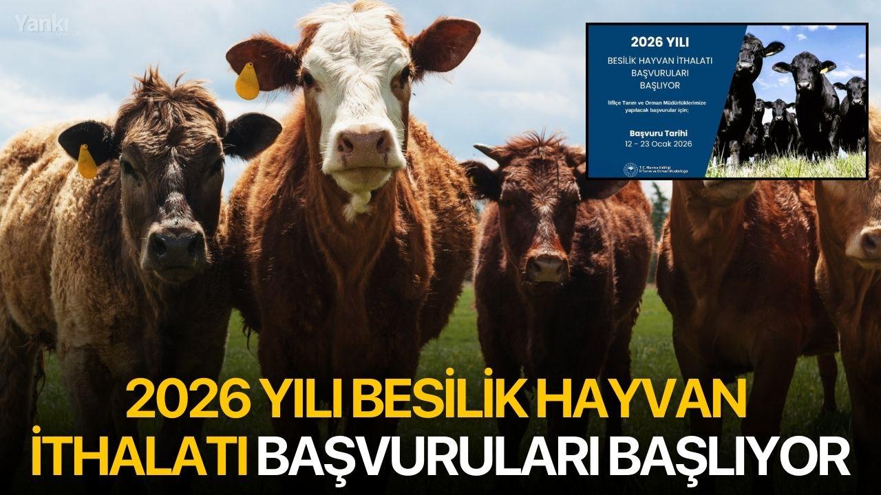 2026 Yılı Besilik Hayvan İthalatı Başvuruları Başlıyor