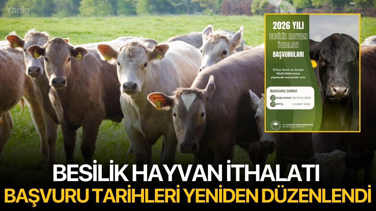 Besilik Hayvan İthalatı Başvuru Tarihleri Yeniden Düzenlendi