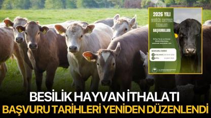 Besilik Hayvan İthalatı Başvuru Tarihleri Yeniden Düzenlendi