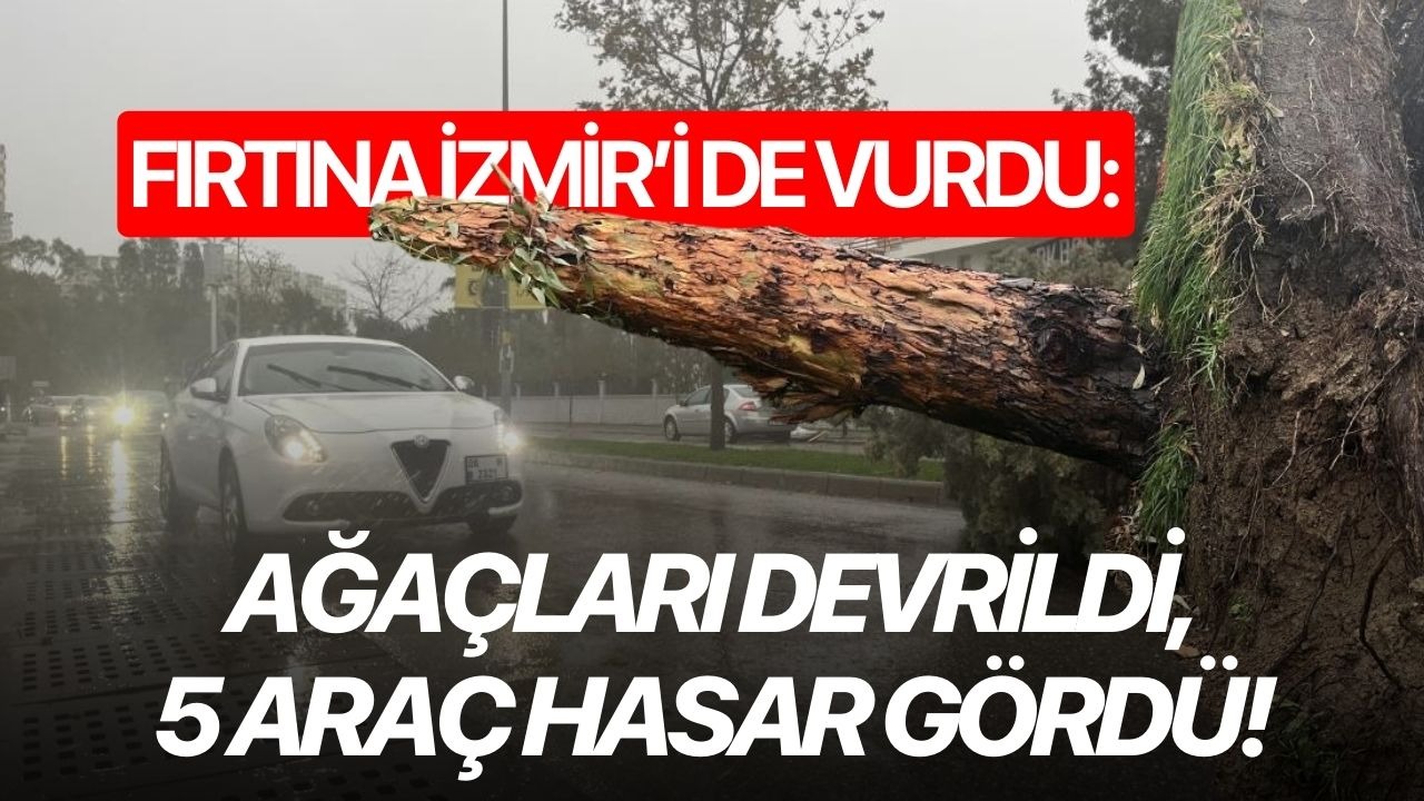 Fırtına İzmir'i de vurdu: Ağaçları devrildi, 5 araç hasar gördü!