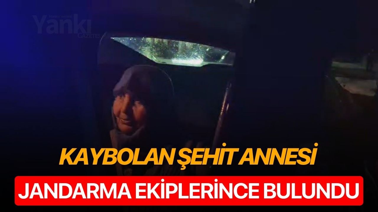 Kaybolan şehit annesi jandarma ekiplerince bulundu