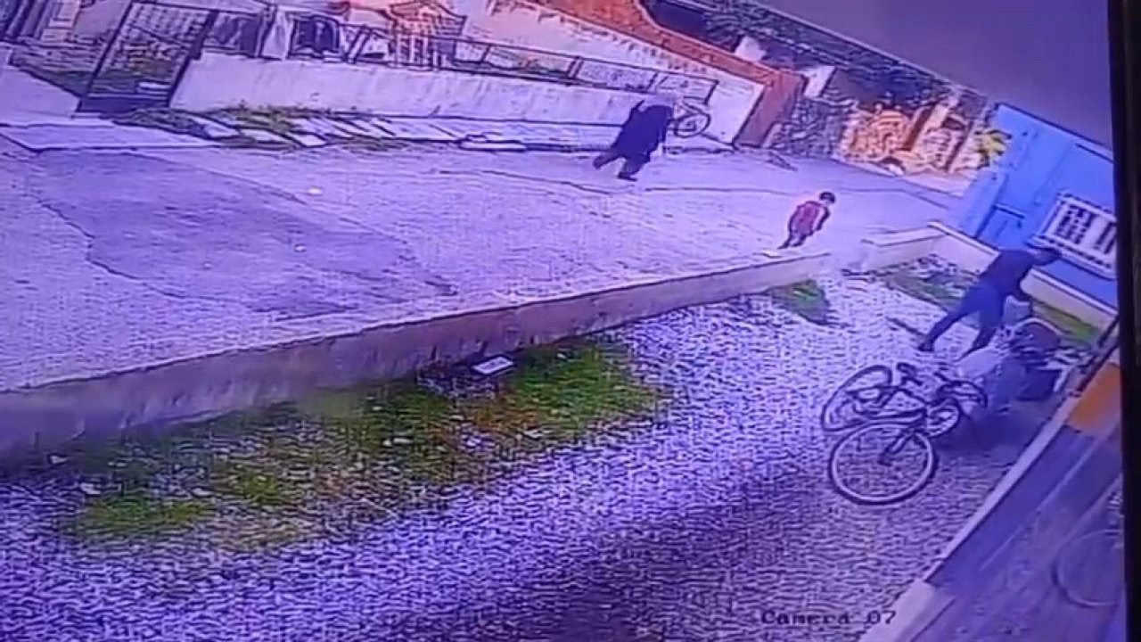 Manisa’da dehşet: Çocukların gözü önünde köpeği katletti