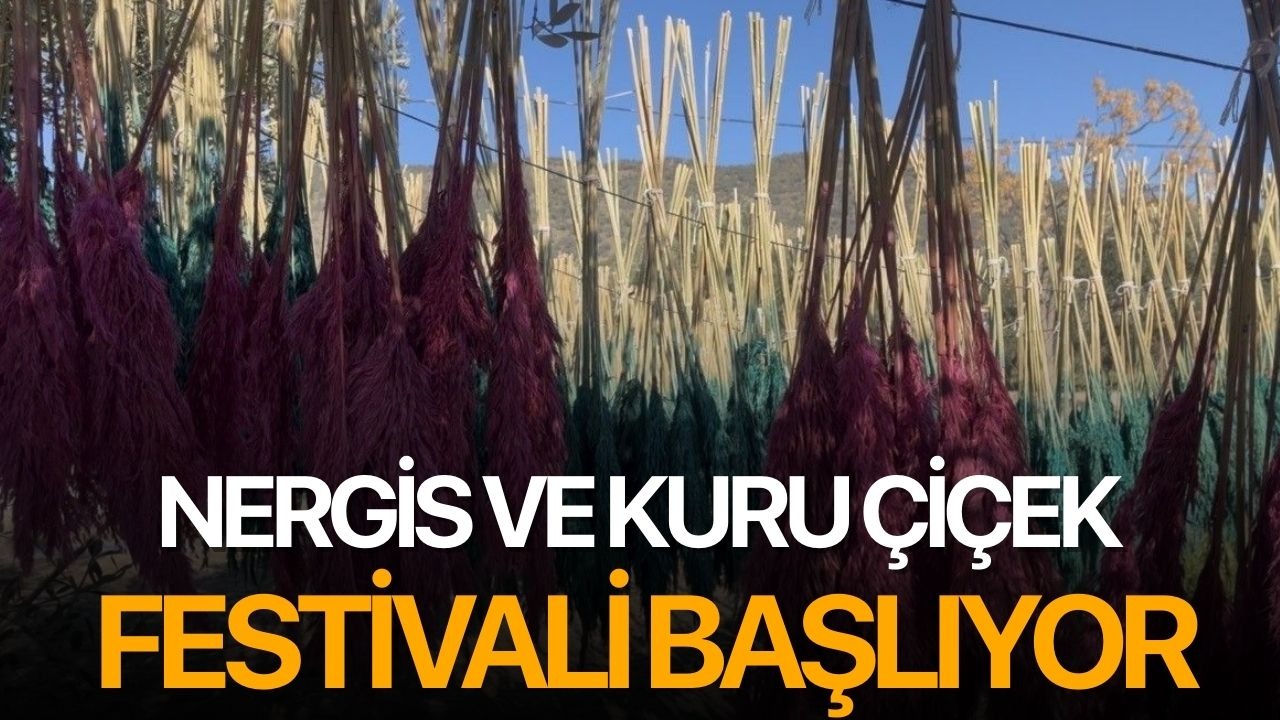 Nergis ve Kuru Çiçek Festivali başlıyor