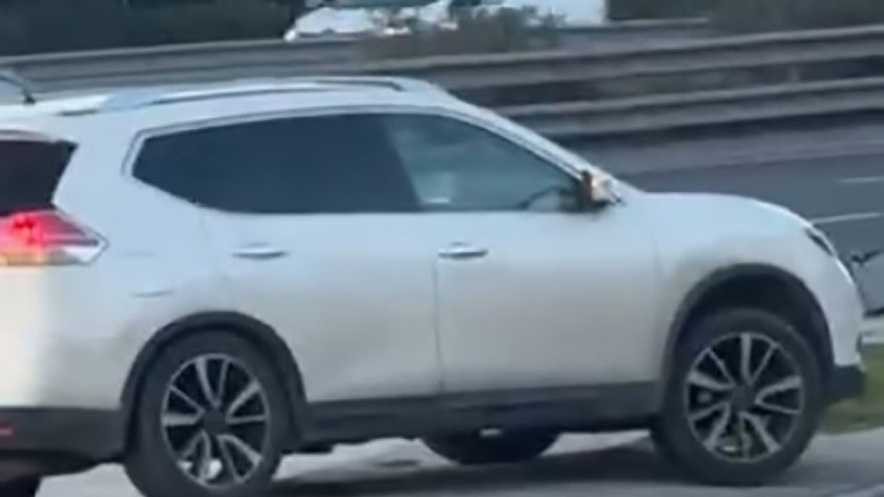 Refüjden atlayan sürücüye ceza yağdı; görüntüleri izleyince itiraf etti!