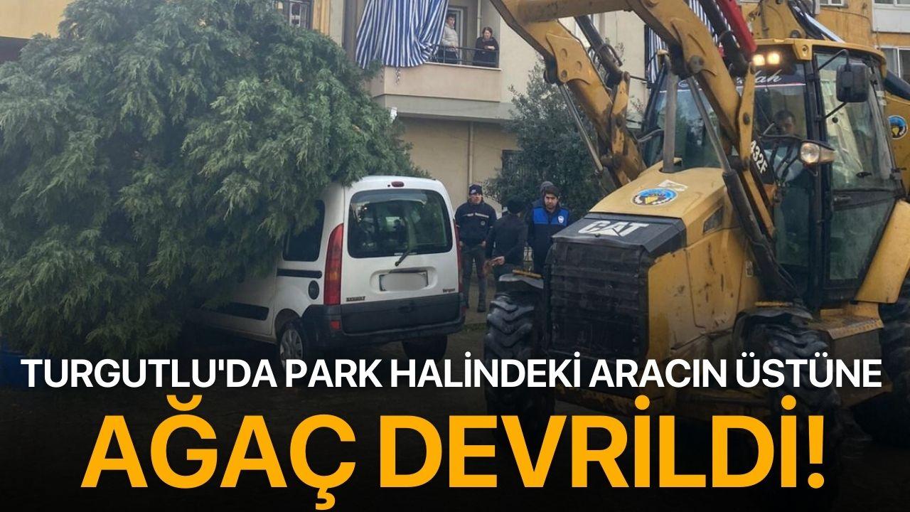 Turgutlu'da park halimndeki aracın üstüne ağaç devrildi