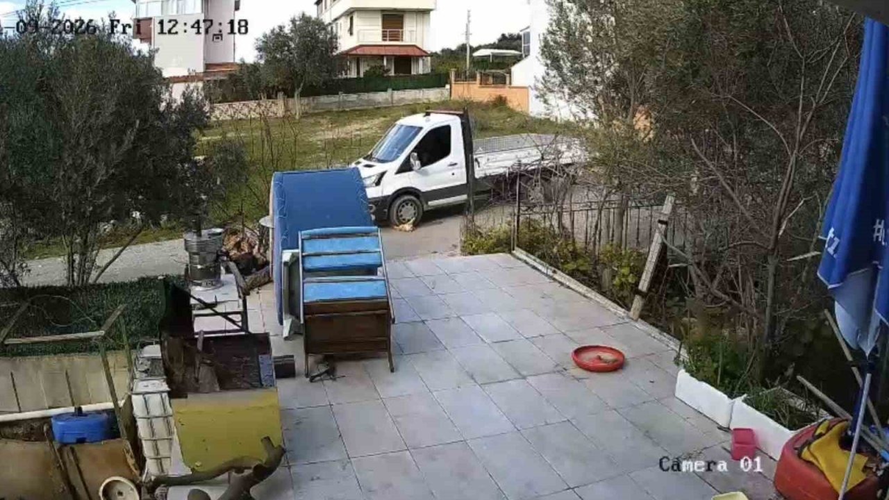 Yerde yatan köpeği ezip yoluna devam etti!