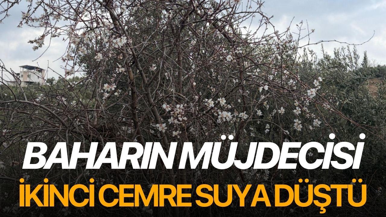 Baharın müjdecisi ikinci cemre suya düştü