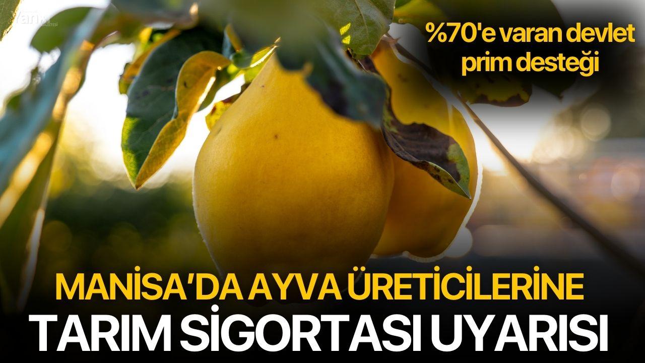 Manisa’da Ayva Üreticilerine Tarım Sigortası Uyarısı