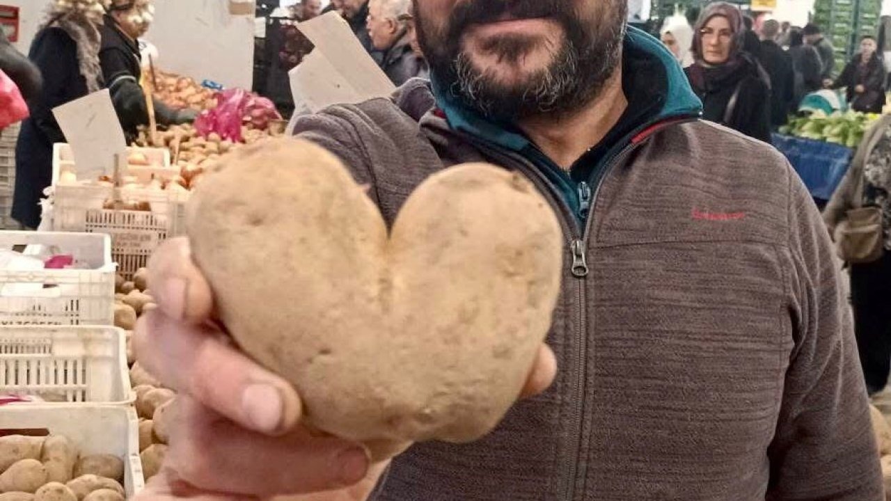 Manisa'da görenler fotoğraf çekti, kalp şeklindeki patates ilgi odağı oldu!