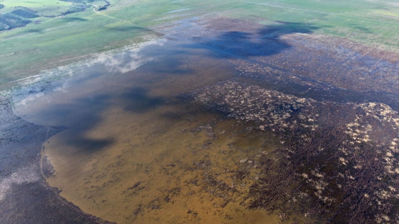 Otomatik Taslak