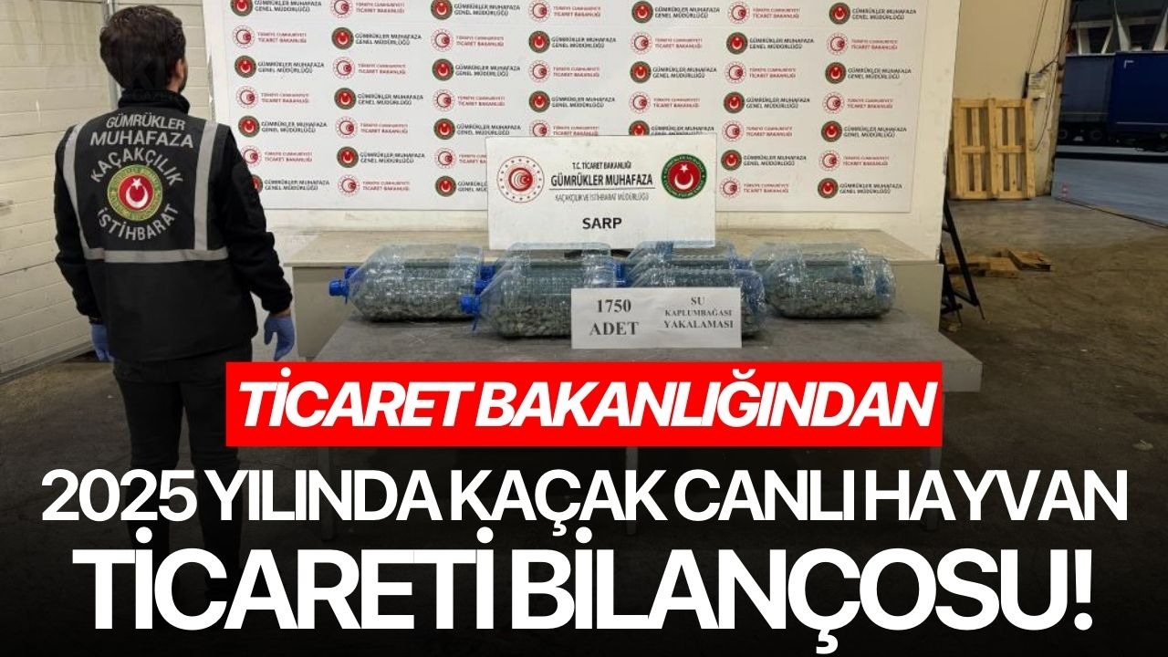 Ticaret Bakanlığından 2025 yılında kaçak canlı hayvan ticareti bilançosu!