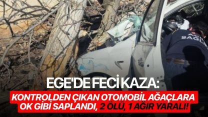 Ege'de feci kaza: Kontrolden çıkan otomobil ağaçlara ok gibi saplandı, 2 ölü, 1 ağır yaralı!
