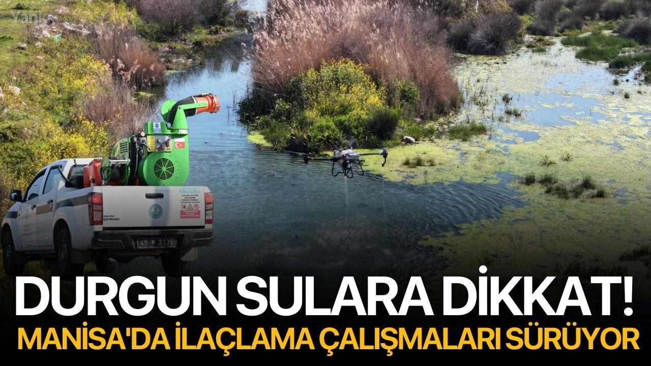 Durgun sulara dikkat! Manisa'da ilaçlama çalışmaları sürüyor