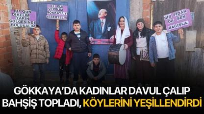 Gökkaya'da Kadınlar Davul Çalıp Bahşiş Topladı, Köylerini Yeşillendirdi