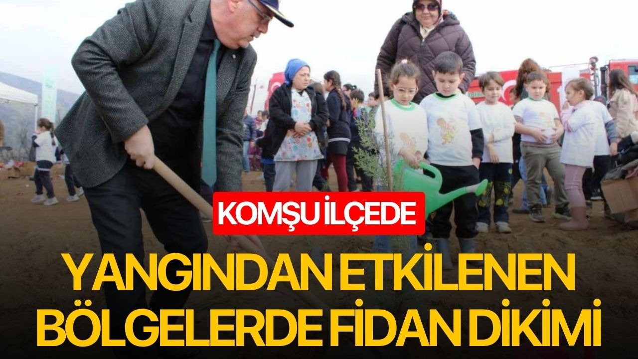 Komşu ilçede yangından etkilenen bölgelerde fidan dikimi yapıldı