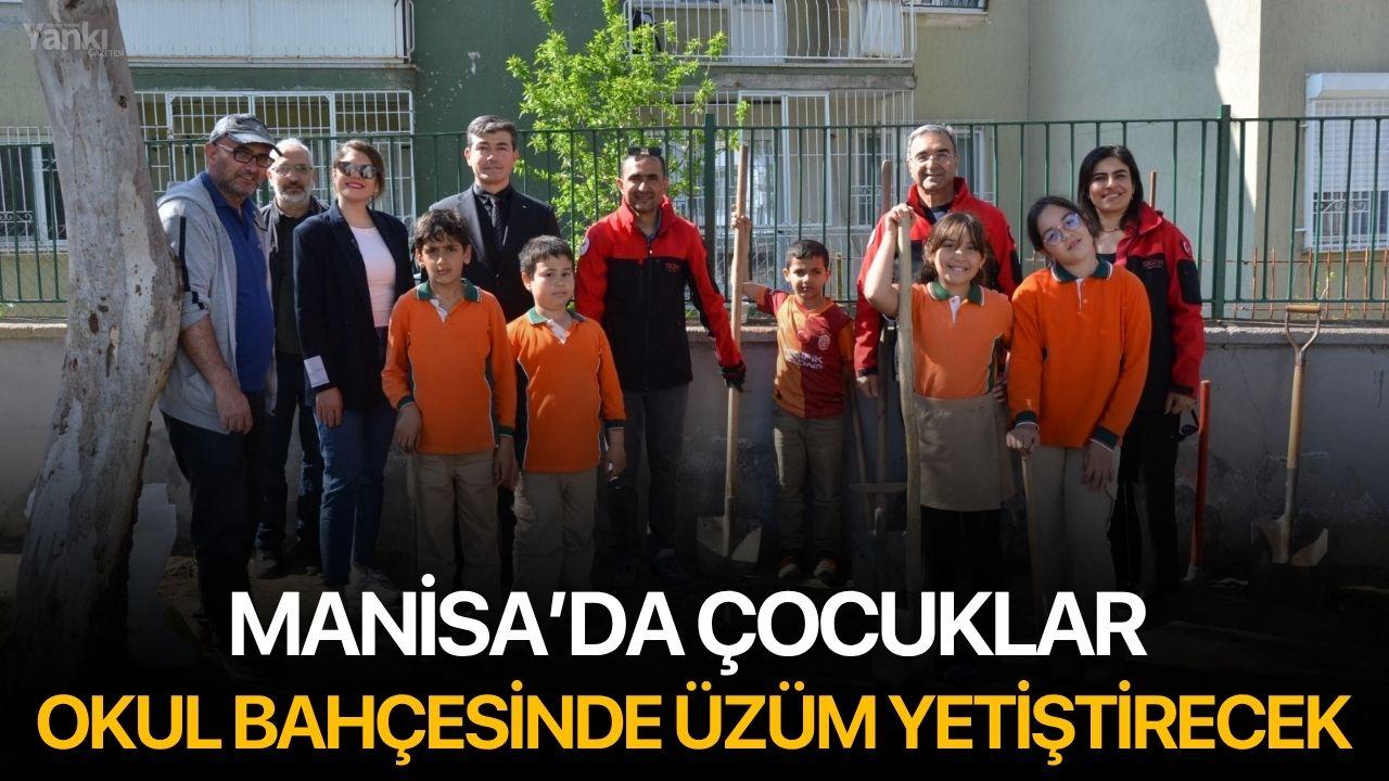 Manisa’da çouklar okul bahçesinde üzüm yetiştirecek