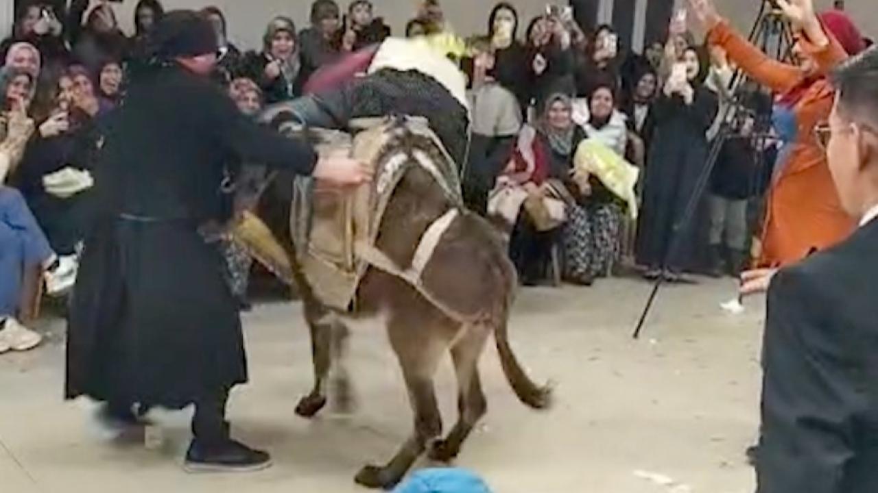 Manisa'da ilginç ‘damat eğlencesi'