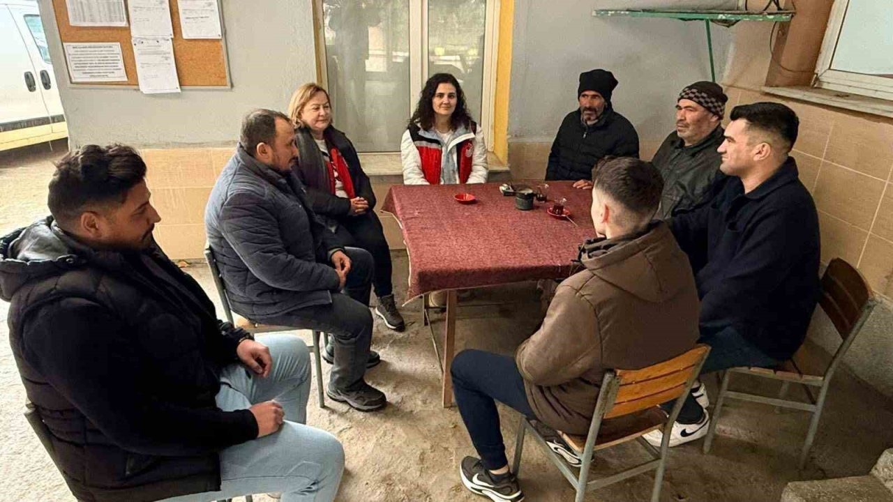 Manisa'da istiridye mantarı üretiminde örnek etkinlik