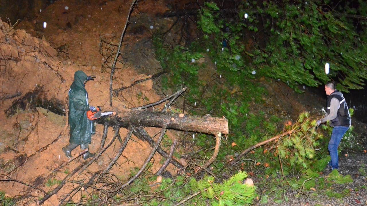 Manisa’da Yağmur Alarmı: Spil Yolunda Heyelan ve Ağaç Devrilmesi