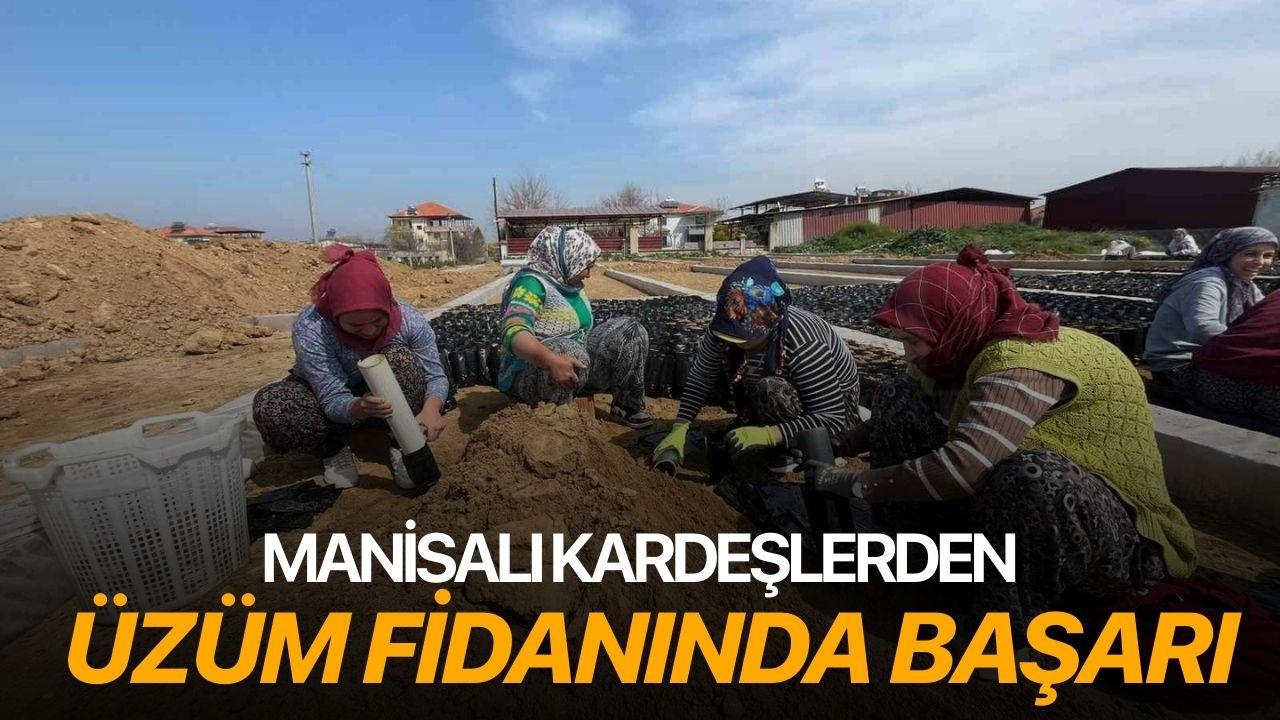 Manisalı kardeşlerden üzüm fidanında başarı