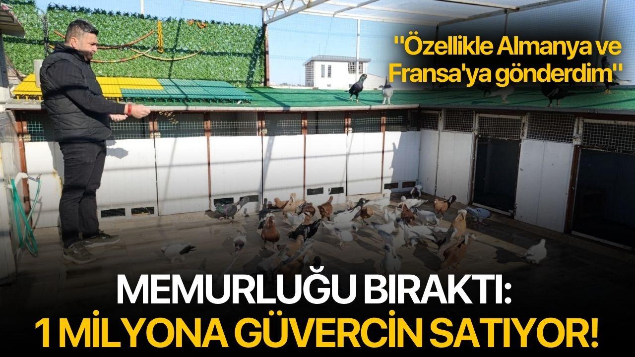 Memurluğu bıraktı: 1 milyona güvercin satıyor!