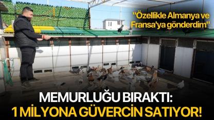 Memurluğu bıraktı: 1 milyona güvercin satıyor!