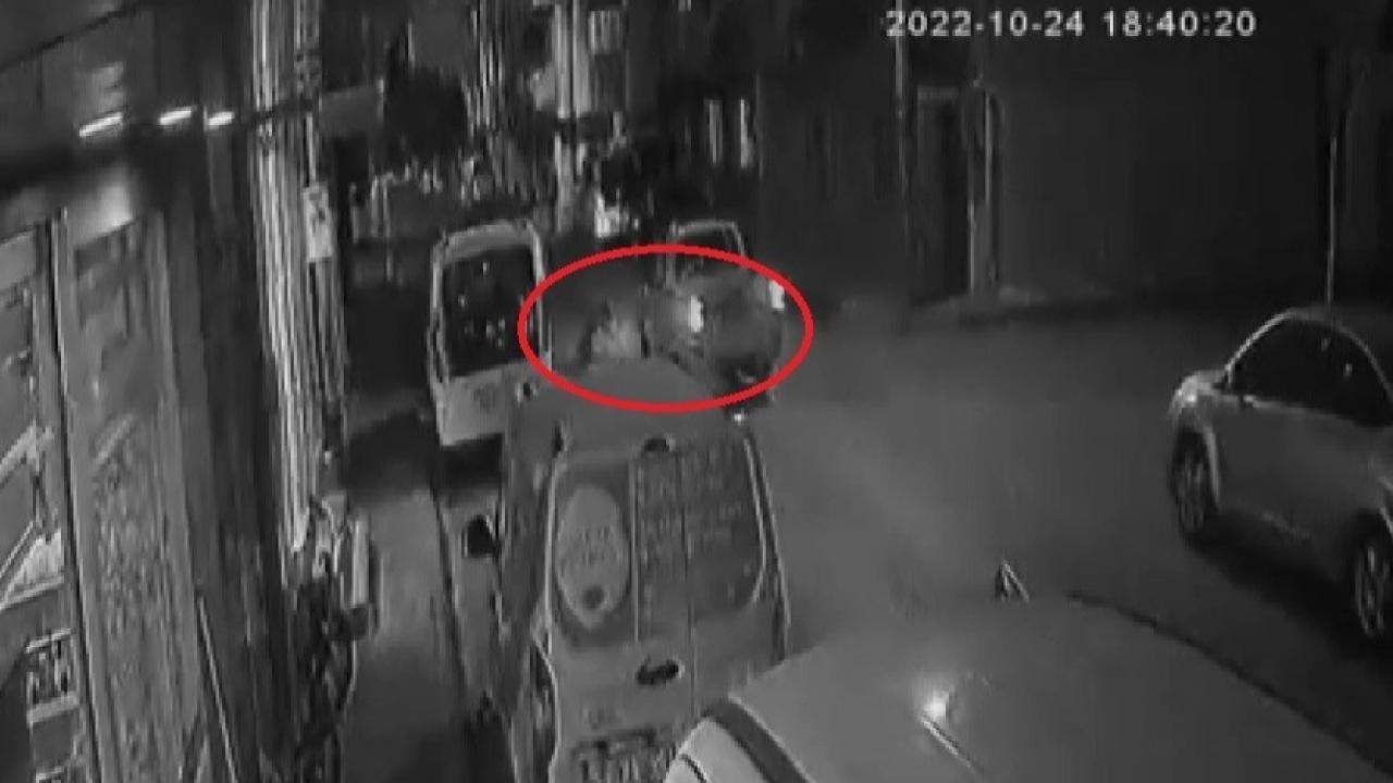 Sahipsiz Köpek Dehşeti Mahkemelik Oldu: Belediyelere Milyonluk Ceza
