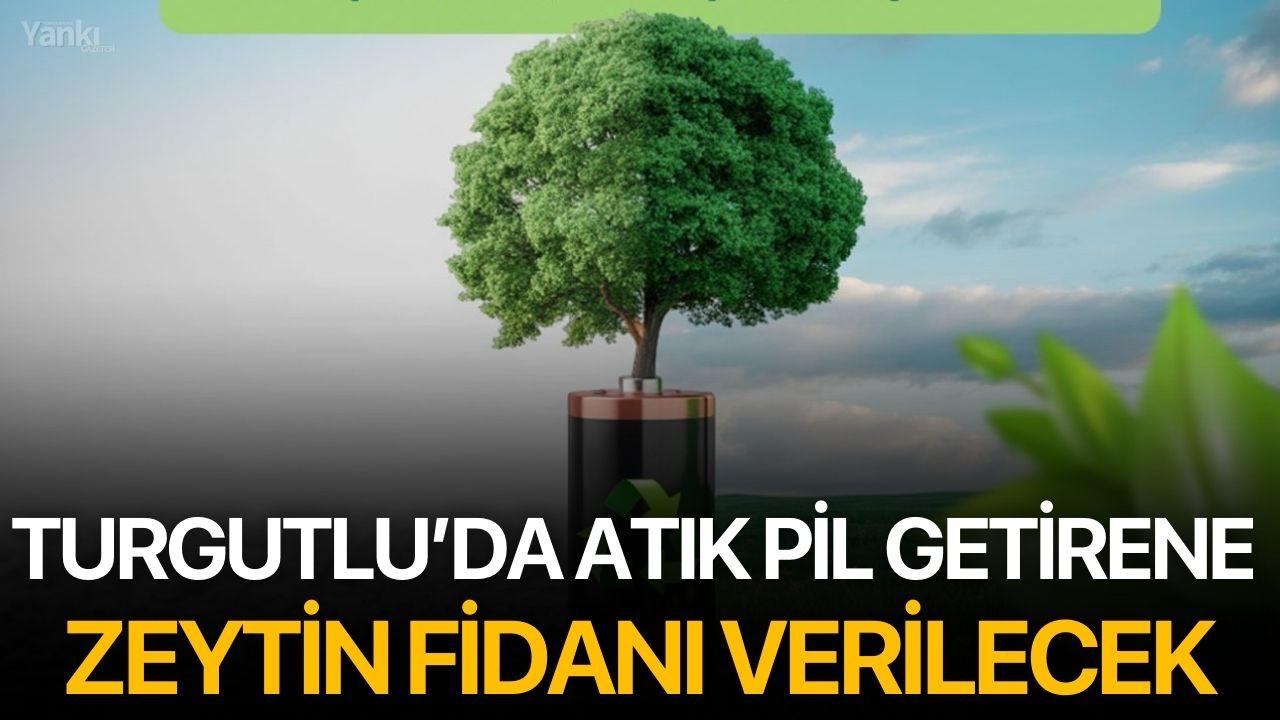 Turgutlu’da Atık Pil Getirene Zeytin Fidanı Verilecek