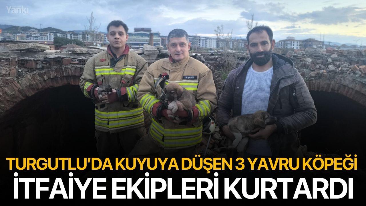 Turgutlu’da kuyuya düşen 3 yavru köpeği itfaiye ekipleri kurtardı