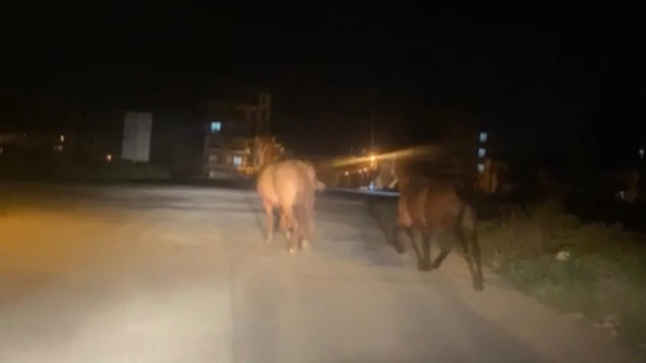 Otomatik Taslak