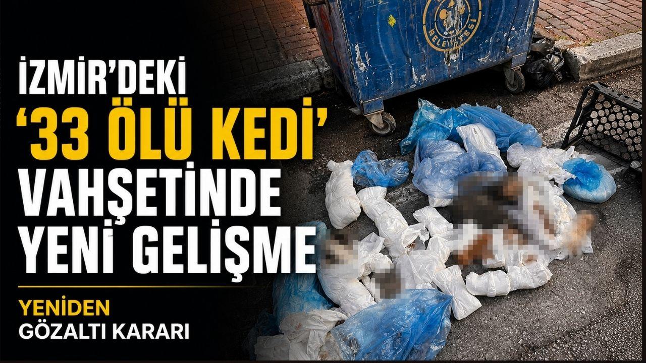 33 kedi ölü bulunmuştu! Yeni gelişme yaşandı