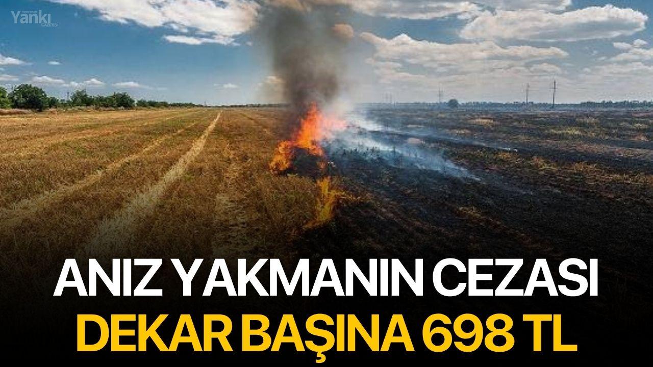 Anız yakmanın cezası dekar başına 698 TL