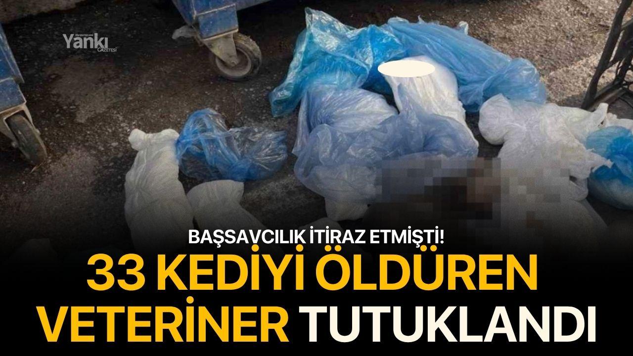 Başsavcılık itiraz etmişti, 33 kediyi öldüren veteriner tutuklandı