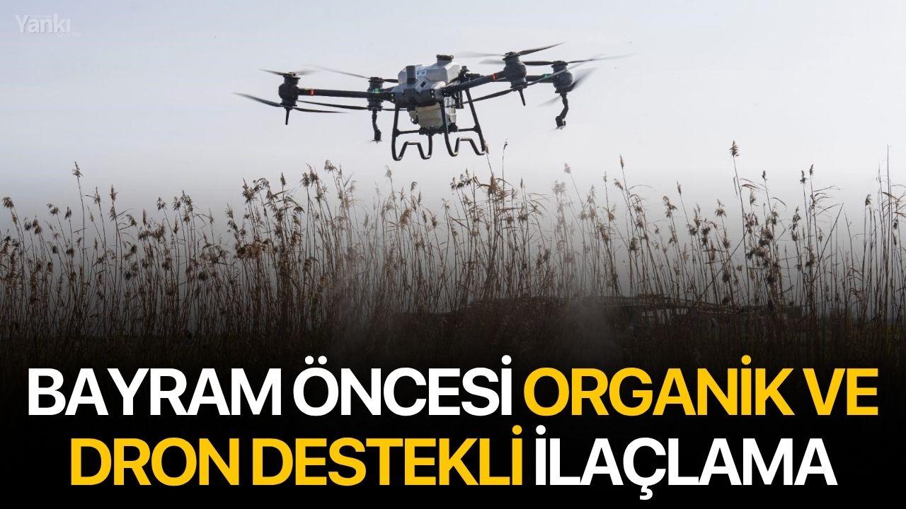 Bayram öncesi organik ve dron destekli ilaçlama