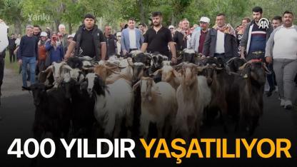Bu gelenek 400 yıldır yaşatılıyor