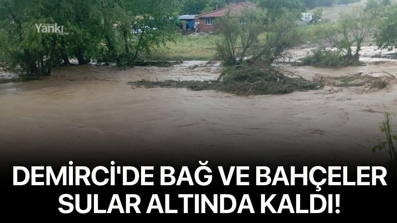 Demirci'de bağ ve bahçeler sular altında kaldı!