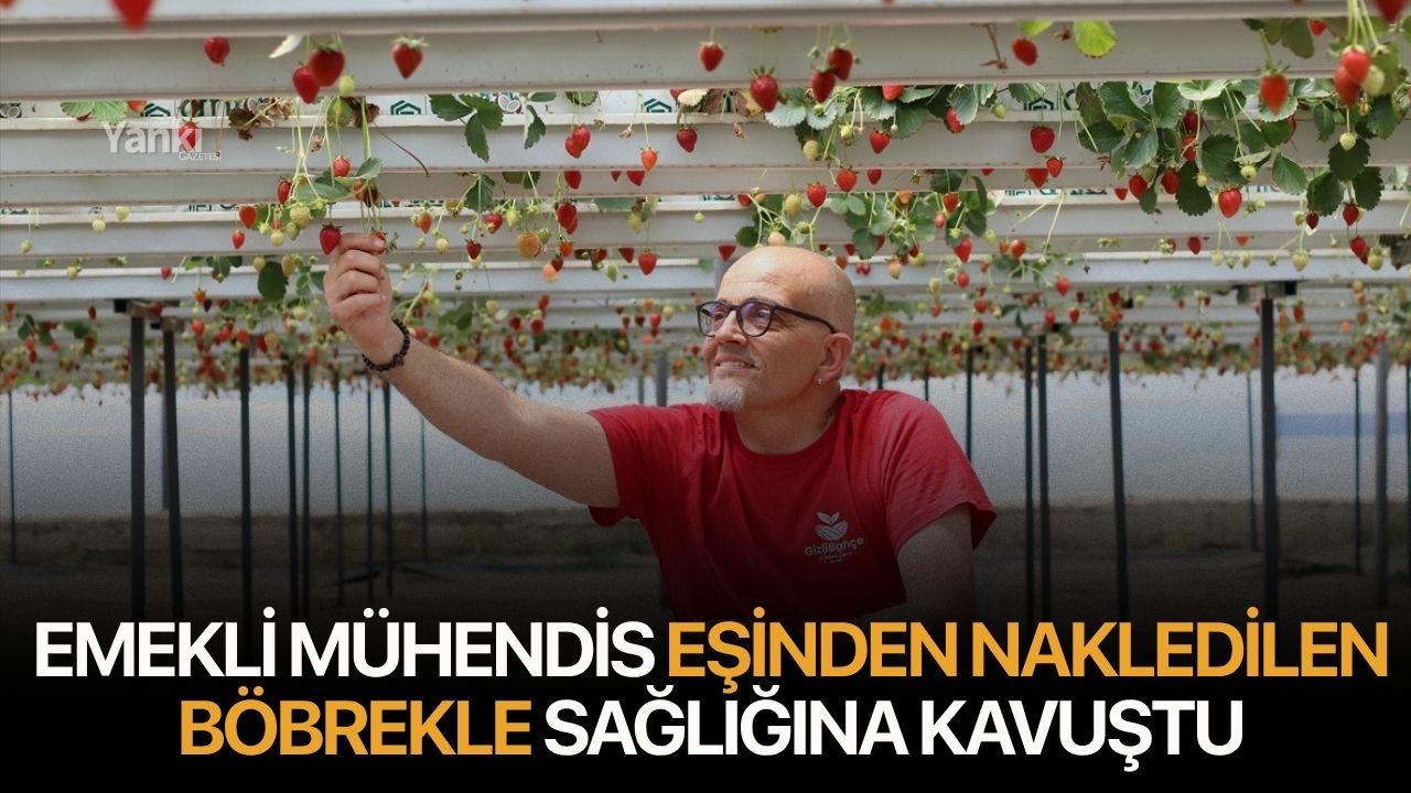 Emekli mühendis eşinden nakledilen böbrekle sağlığına kavuştu