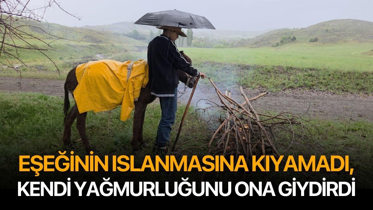 Eşeğinin ıslanmasına kıyamadı, kendi yağmurluğunu ona giydirdi