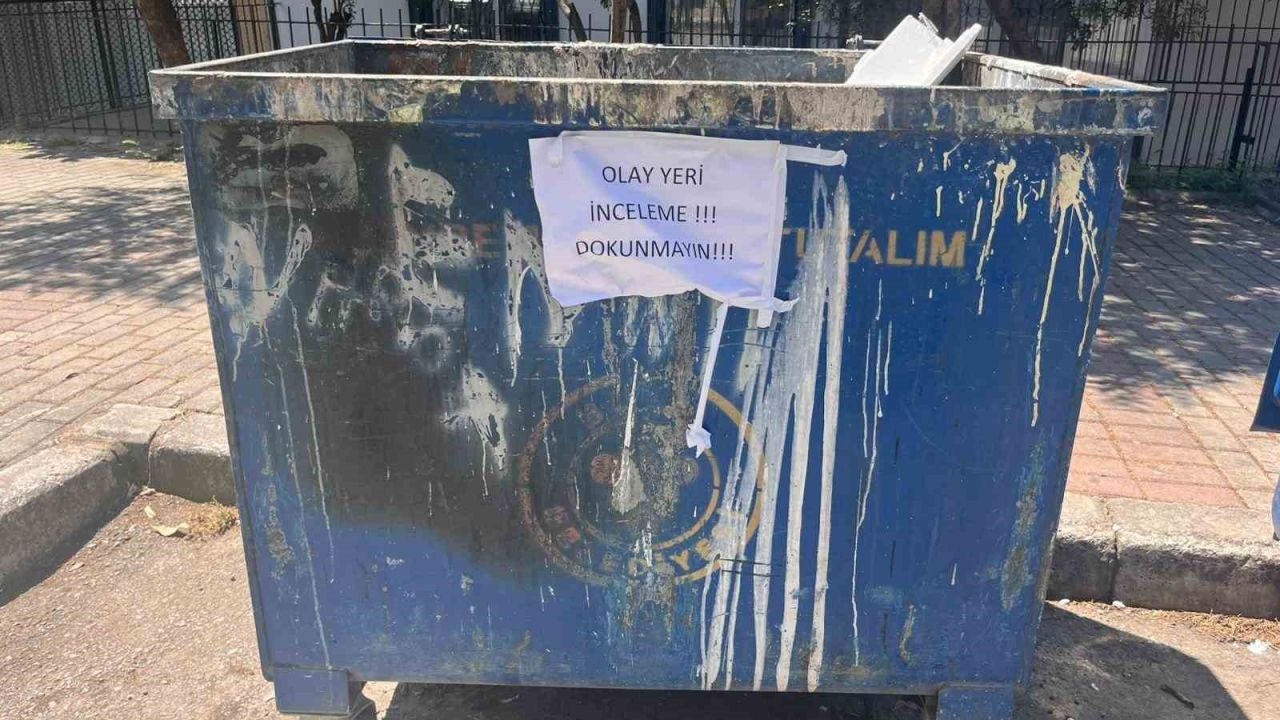 İzmir’de çöpte 33 ölü kedi bulunmasıyla ilgili bir veteriner gözaltına alındı