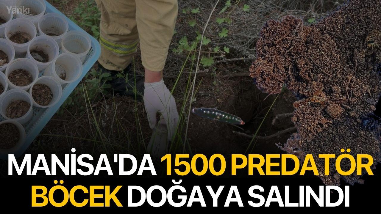 Manisa'da 1500 Predatör Böcek Doğaya Salındı